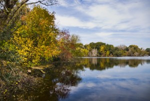 BUESCHER STATE PARK | 24inTX